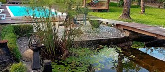 La Villa des Palmiers Bleus - Piscine Jardin