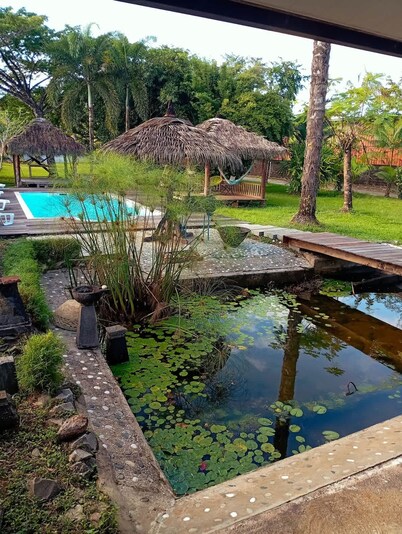 La Villa des Palmiers Bleus - Piscine Jardin
