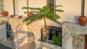 Un espacio exterior moderno con un muro de piedra, plantas en macetas y un pequeño árbol.