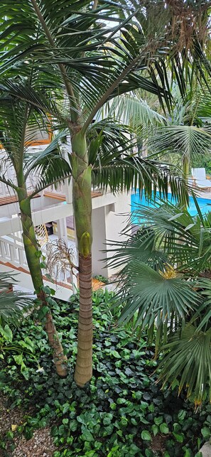 Outdoor pool, pool umbrellas, pool loungers - Complejo Pelicano Chapadmalal (Colonia Chapadmalal)