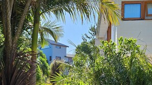 A garden pathway with palm trees and a white building in the background. - Complejo Pelicano Chapadmalal (Colonia Chapadmalal)
