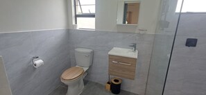 Shower, hair dryer, towels, soap - Peaceful 1-bedroom studio in beautiful Kloof perfect for relaxing (Kloof)