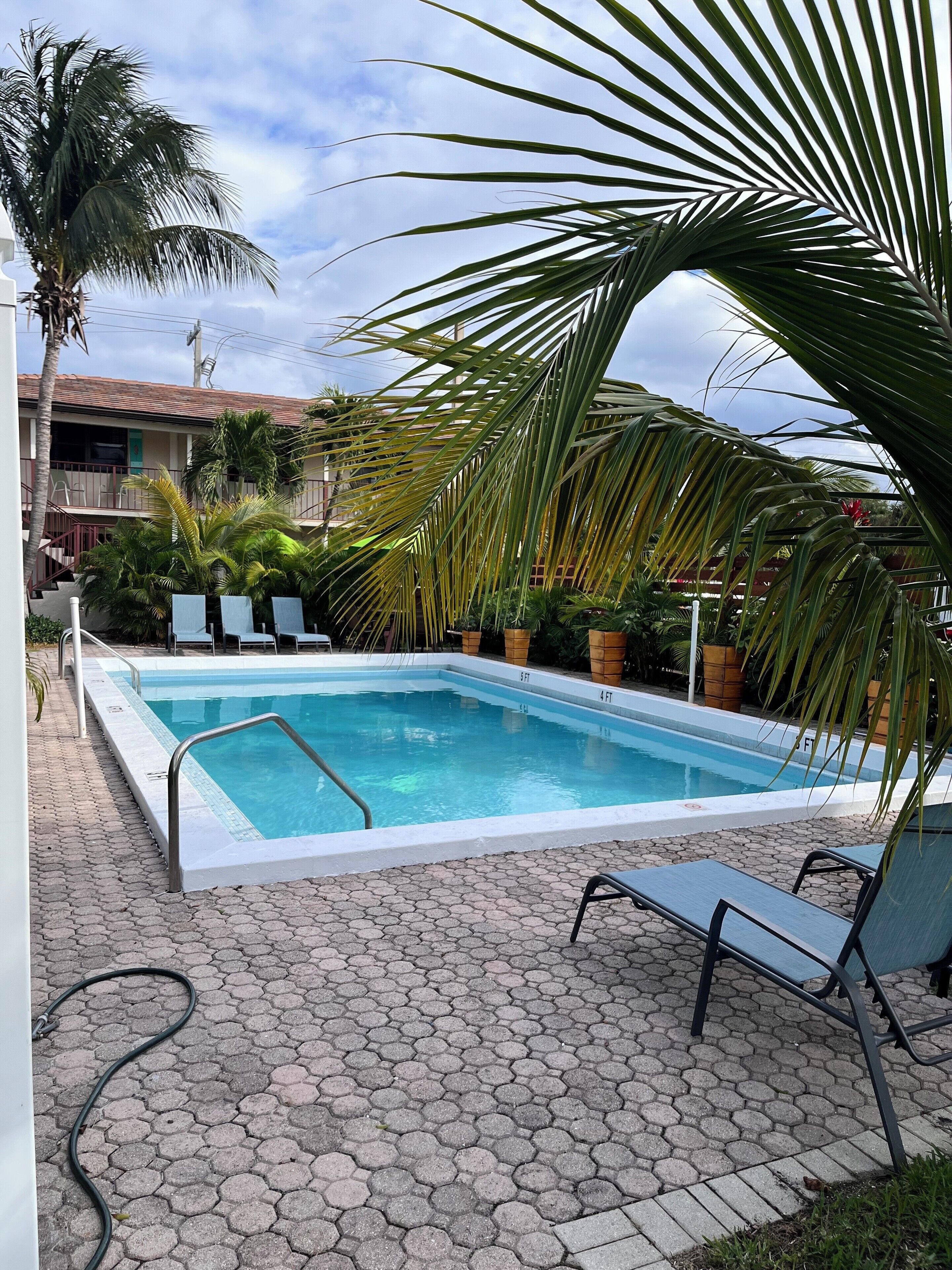 A swimming pool with hexagonal tiles, surrounded by lounge chairs and potted plants.