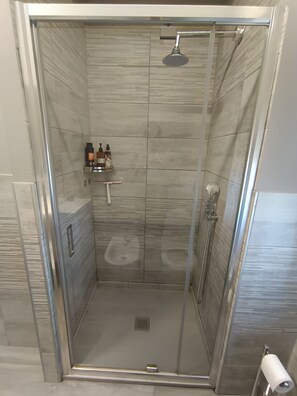 Shower, hair dryer, bidet, towels