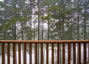 House, Multiple Beds, Pool Access, Mountain View (5 Br: Loggers Run 7) | View from room - Loggers Run #7: 5 Bedrooms, 3.5 Bath: Slope Side. Overlooks The Ski Trail ! (Snowshoe)
