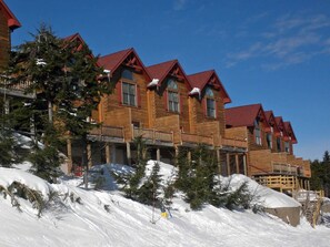 Exterior - Loggers Run #7: 5 Bedrooms, 3.5 Bath: Slope Side. Overlooks The Ski Trail ! (Snowshoe)