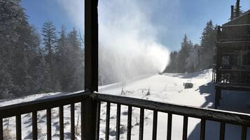 House, Multiple Beds, Patio, Mountain View (2 Br: Powderidge 17) | View from room