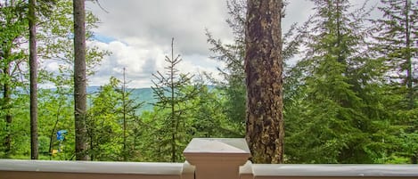 House, 1 Queen Bed with Sofa bed, Balcony, Mountain View (1 Br: Stemwinder 6B) | View from room