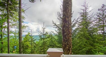 Stemwinder 6B 1 Bedroom, 1 Full Bath, Slope Side