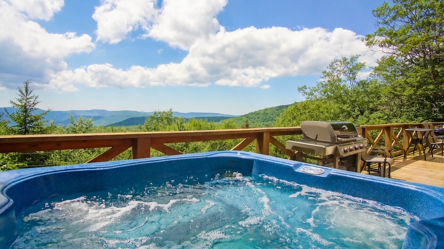 Top Property In Snowshoe 8 Br Nwr Rd 11 Luxury Home