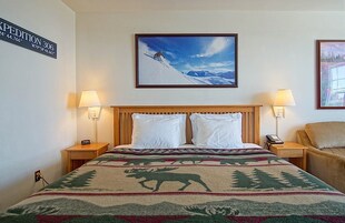 1 habitación, decoración personalizada y muebles diferentes 