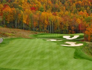 Golf - Allegheny Springs 201 : 2 Bedroom, 2 Full Bath: Slope Side; Gas Fireplace (Snowshoe)