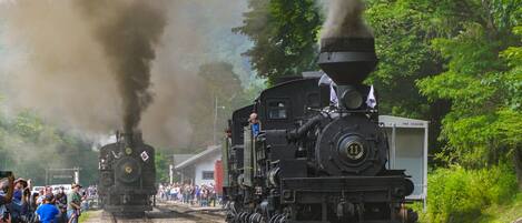 A steam locomotive with a large chimney emitting smoke, surrounded by a crowd of people.