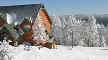 A wooden cabin with a sloped roof, surrounded by snow-covered trees and a clear sky.