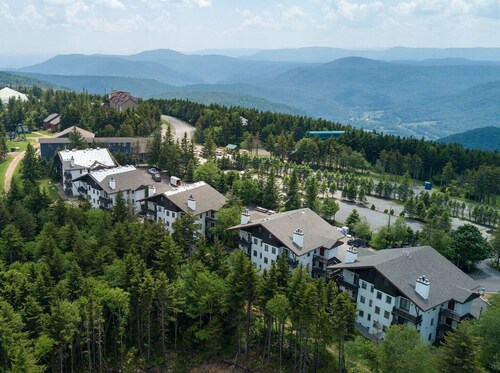 Whistlepunk 45- Modern Comfort With Mountain Charm-1 Bedroom