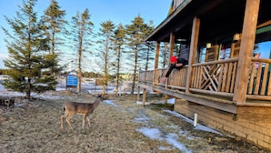 A wooden cabin with a balcony overlooking a snowy landscape and a deer nearby. - 4 BR: Timbers #1 Stand Alone Cabin (Snowshoe)