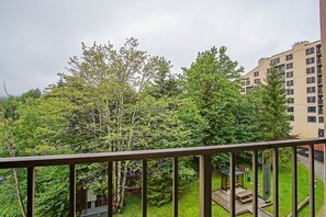 Condo, nhiều giường, có thể sử dụng hồ bơi, quang cảnh núi (2 Br: Silver Creek 5216) | Quang cảnh từ phòng