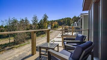 House, Multiple Beds, Hot Tub, Mountain View (3 Br: Coal Box) | View from room