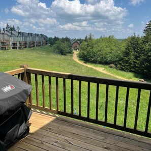 BBQ/picnic area - Powderidge 15 Slope Side (Snowshoe)