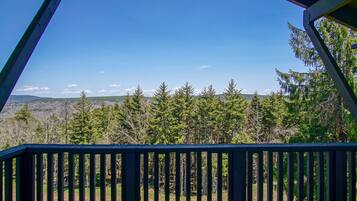 House, Multiple Beds, Balcony, Mountain View (3 Br: Whistlepunk 1) | View from room