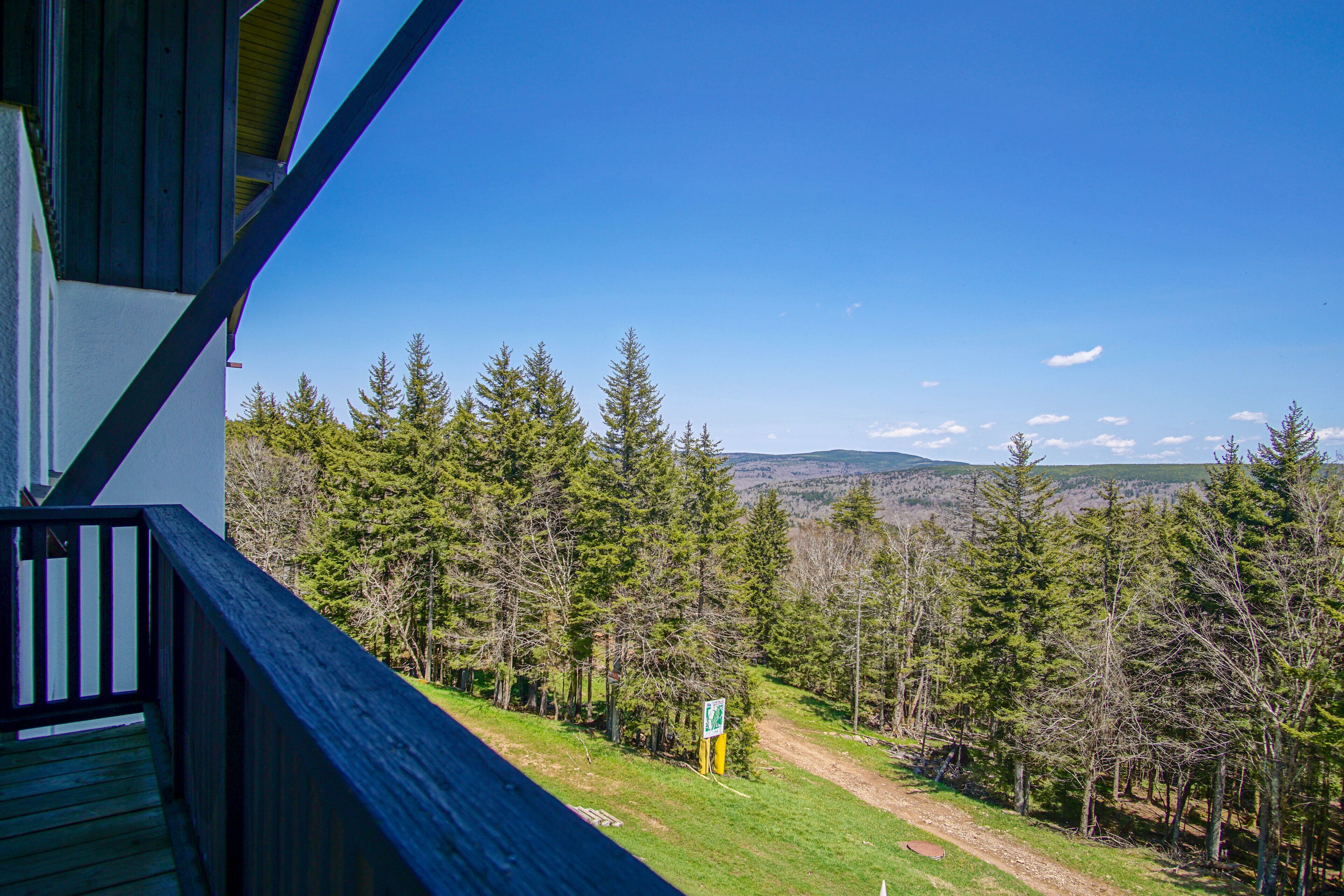 House, Multiple Beds, Balcony, Mountain View (3 Br: Whistlepunk 1) | View from room