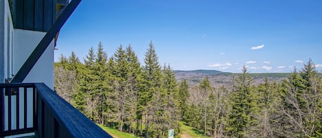 House, Multiple Beds, Balcony, Mountain View (3 Br: Whistlepunk 1) | View from room