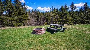 A picnic table and a fire pit in a grassy field with a forest in the background. - Leatherbark - 301b, 2 Bedroom Allegheny Sunrise Spacious Condo Foosball (Snowshoe)