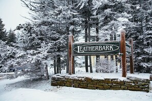 公寓式客房, 多张床, 阳台, 山景 (2 Br: Leatherbark 301 B) | 客房景观