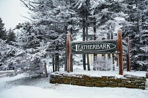 Lakás, több ágy, erkély, kilátással a hegyre (2 Br: Leatherbark 301 B) | Kilátás a szobából