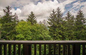 Condo, Multiple Beds, Pool Access, Mountain View (4 Br: Whistlepunk 12) | View from room - Whistlepunk #12: 4 Bedroom, 3 Bath: Slope Side, Wood Fireplace (Snowshoe)