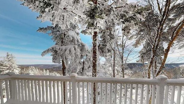 A snow-covered landscape with a white fence and trees. - Stemwinder #8:3 Bedroom/3.5 Bath Slopeside (Snowshoe)