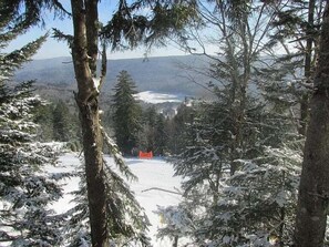Exterior - Stemwinder #8:3 Bedroom/3.5 Bath Slopeside (Snowshoe)