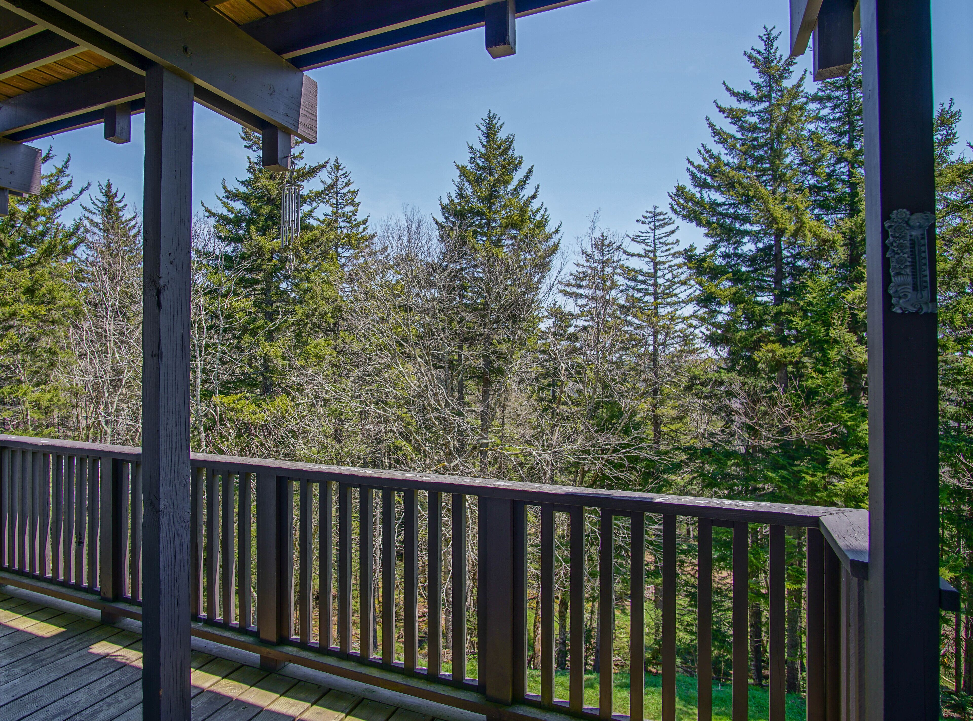 Condo, Multiple Beds, Pool Access, Mountain View (2 Br: Whistlepunk 11) | View from room