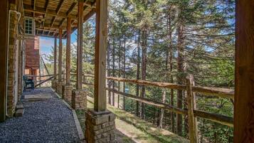 House, Berbilang Katil, Hot Tub, Mountain View (5 Br: Loggers Run 11) | Pemandangan dari bilik