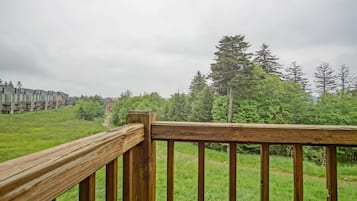 Condo, Multiple Beds, Fireplace, Mountain View (2 Br: Powderidge 14) | View from room