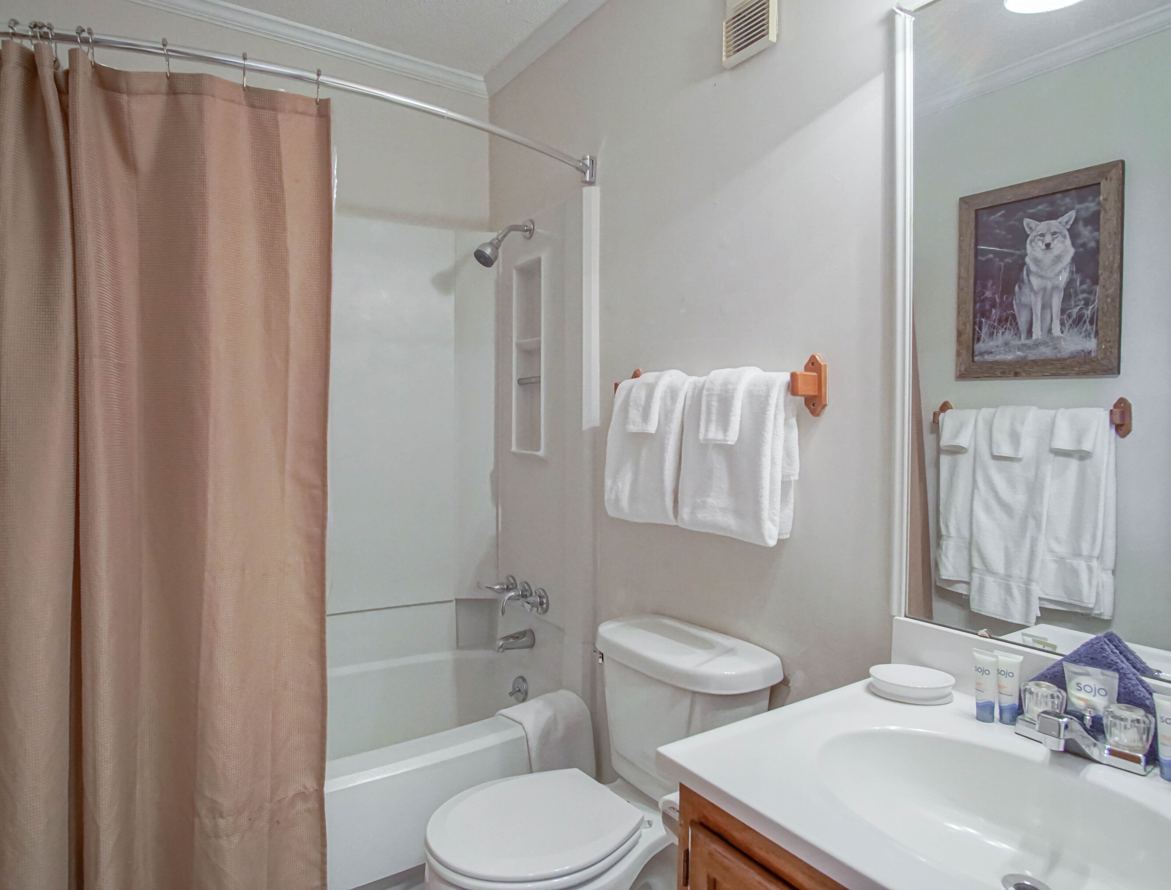 A bathroom with a shower, toilet, and sink.