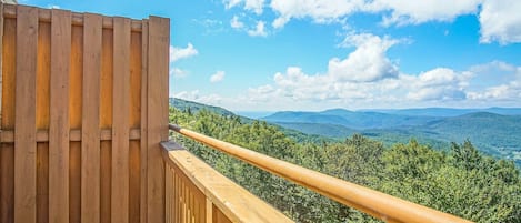 Huoneisto, useita sänkyjä, parveke, vuoristonäköala (3 Br: Summit 304 B) | Näkymä huoneesta