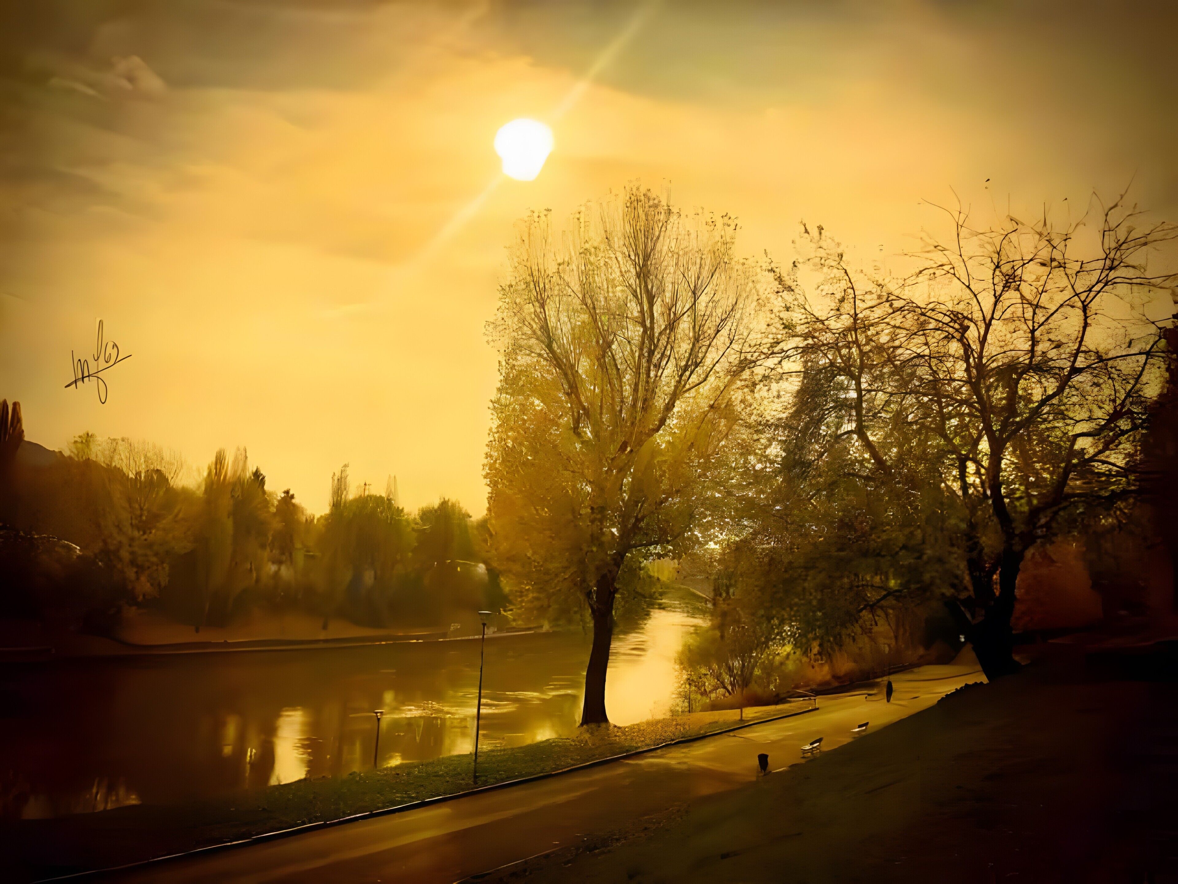 Un parco con un lago, alberi e un sentiero.