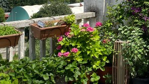 Un jardin sur le toit, agrémenté de plantes et de fleurs en pot, une structure en pierre et une vue sur le paysage environnant.