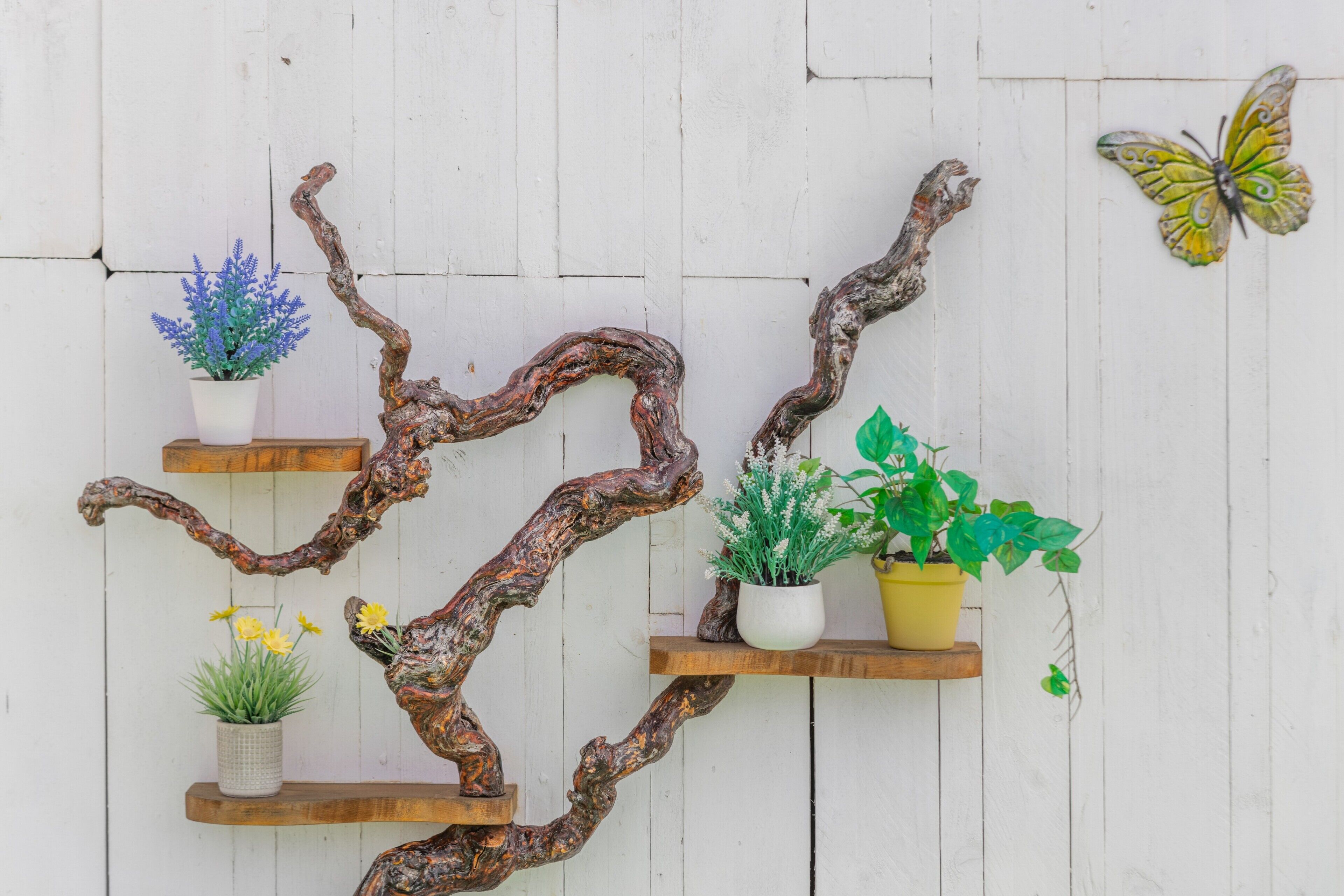 A wall-mounted wooden branch structure with potted plants and a butterfly decoration.