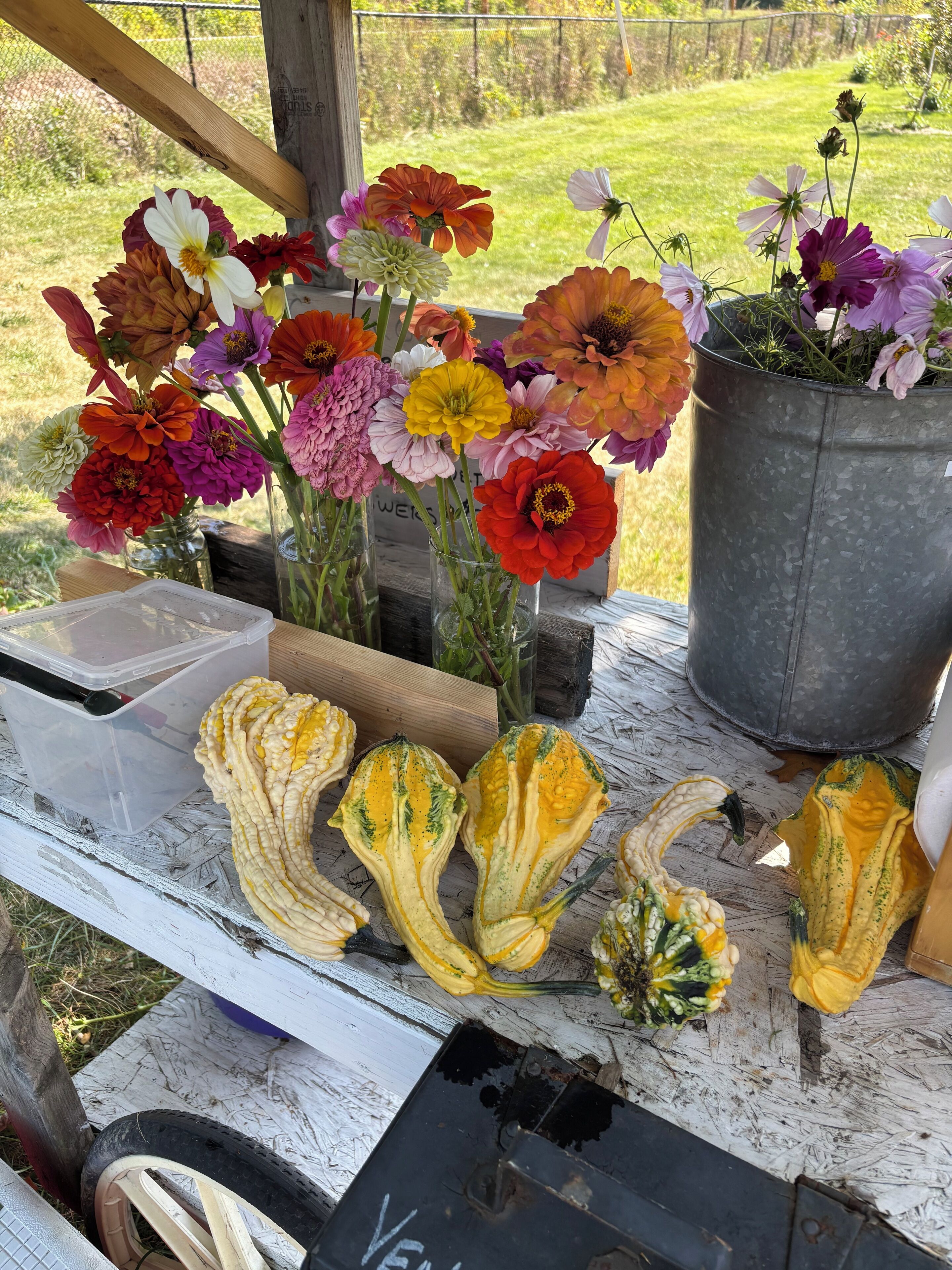A table with various flowers in vases and gourds.