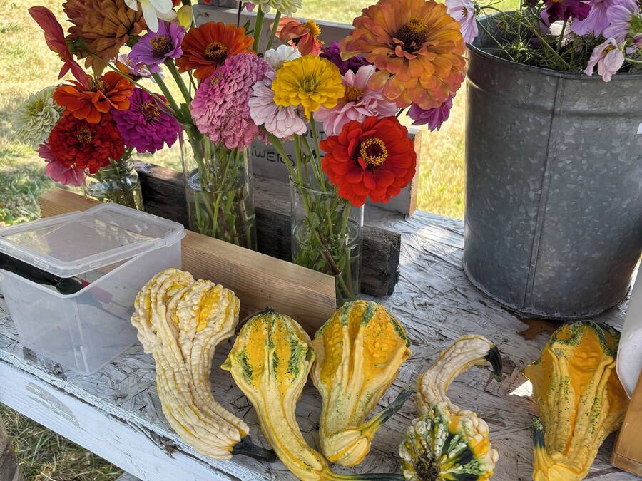 Una mesa con varios arreglos florales en jarrones y calabazas.