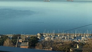 A marina with boats docked, a clear sky, and a distant ship. - Double suite with sea view (Trieste)