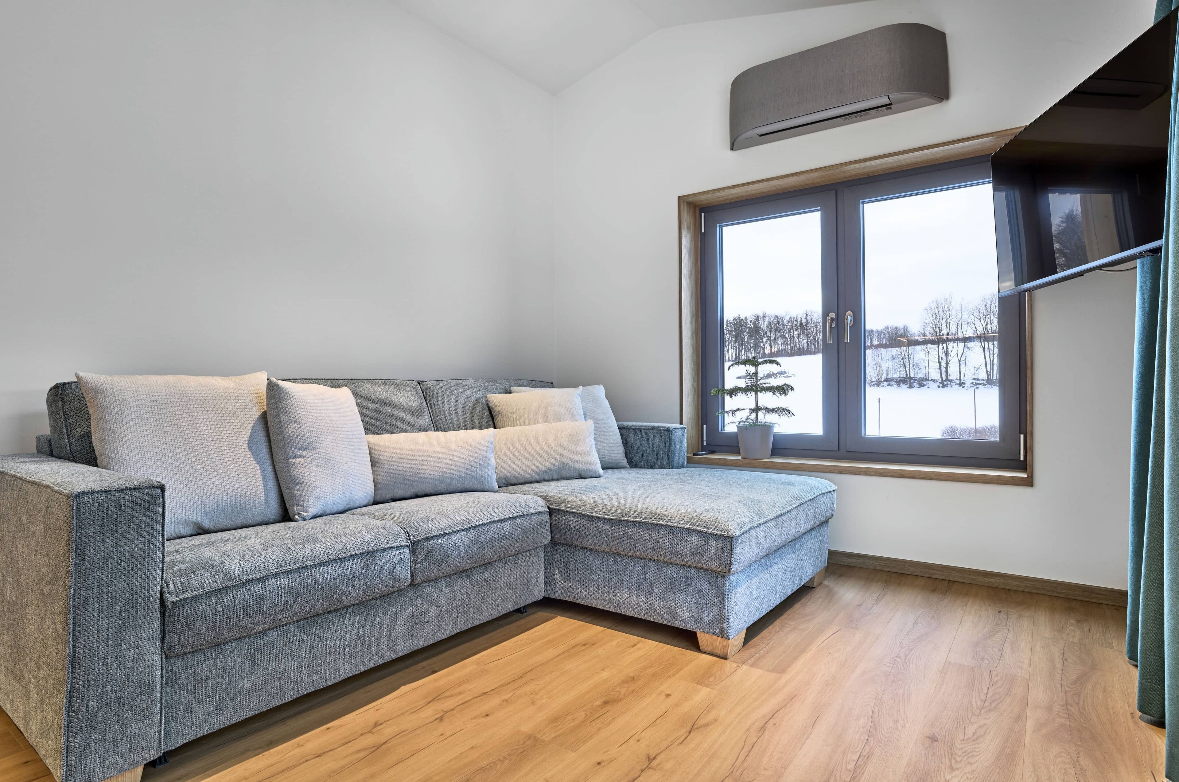 Tenis de mesa, libros y estéreo 