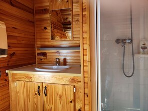 Shower, hair dryer, soap - LA GRANGE DE GRAZET: A COSY REFUGE IN A GREEN SETTING (Ustou)