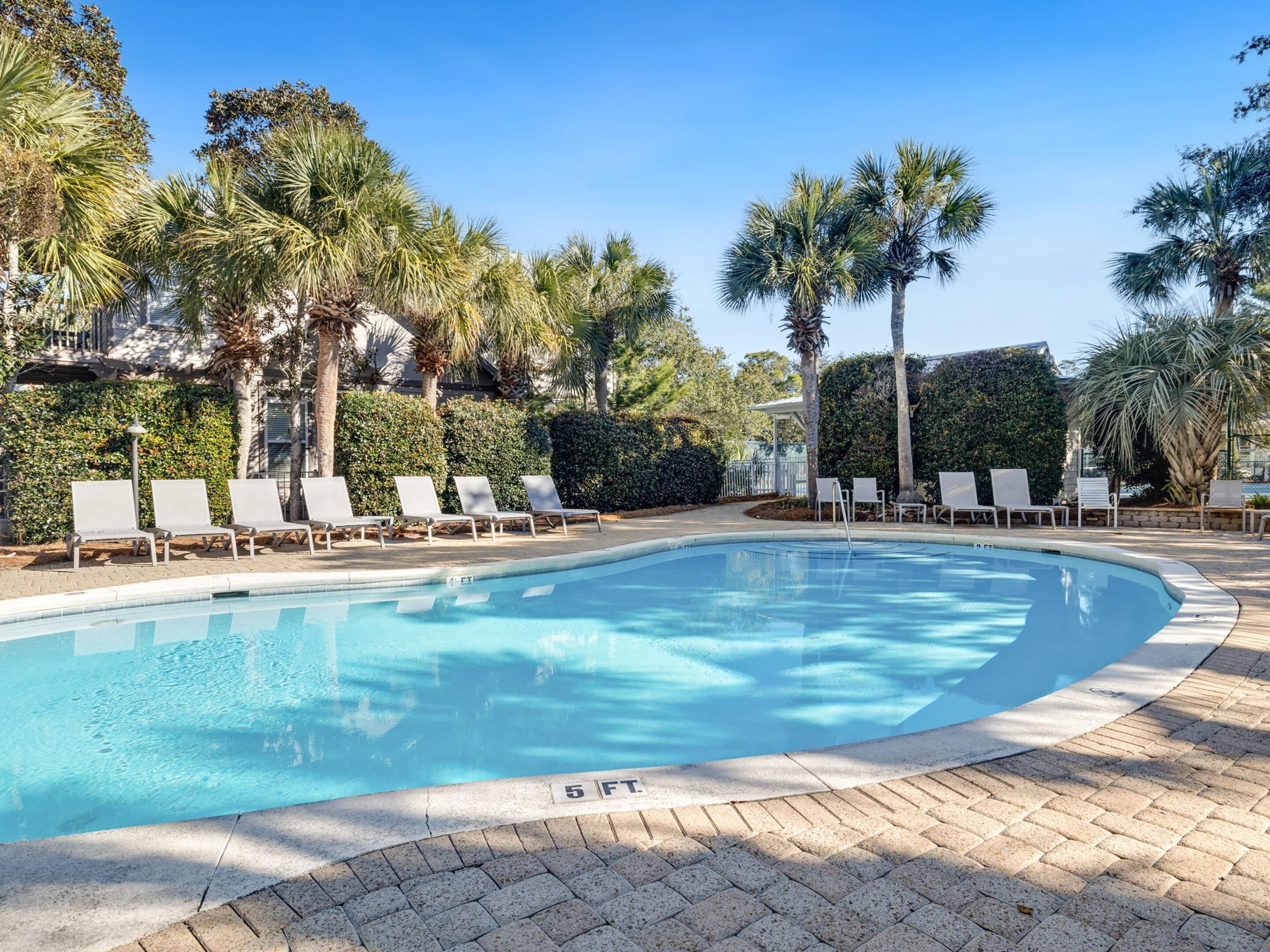 A swimming pool with lounge chairs and palm trees.