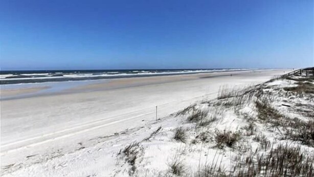 Ein Strand mit blauem Himmel, sandigem Ufer und Dünen.