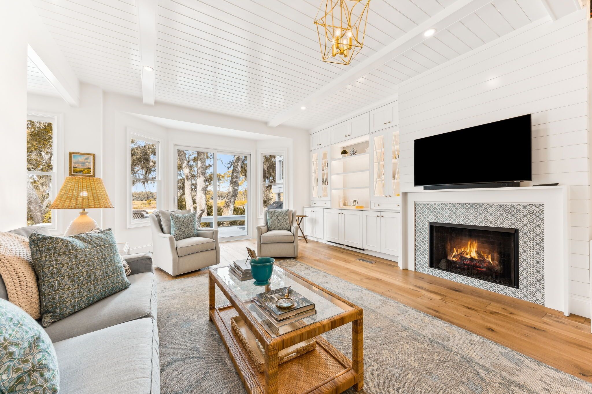 TV, fireplace, books