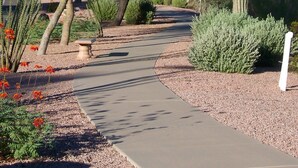 Ein Weg, der durch einen Garten mit einem hohen Kaktus und einer Trauerweide führt.