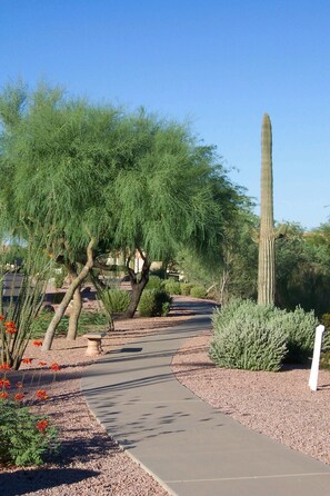Property grounds - Newly Remodeled Desert Villa in Serene RMRCC + Community Pool (Mesa)